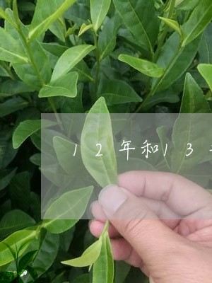 12年和13年普洱茶/2023092971605