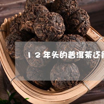 12年头的普洱茶还能喝吗/2023051079583