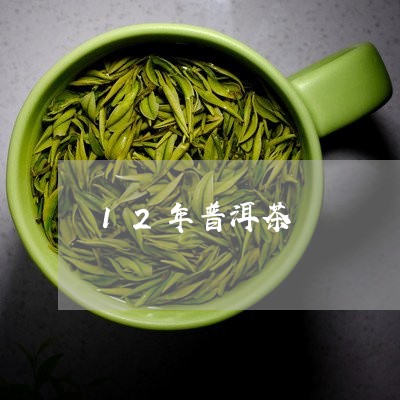 12年普洱茶/2023042926819