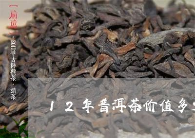 12年普洱茶价值多少/2023080102958