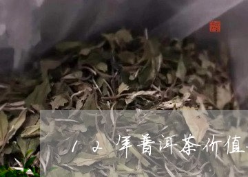 12年普洱茶价值如何/2023100509503