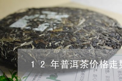 12年普洱茶价格走势/2023080290484