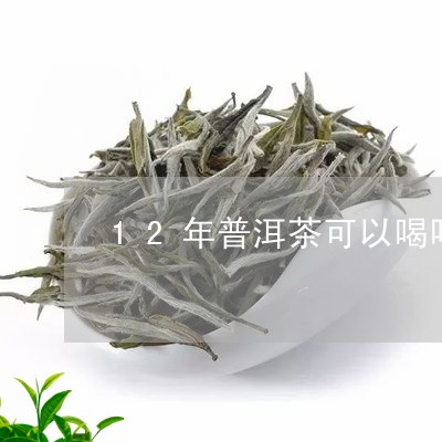 12年普洱茶可以喝吗/2023062114926