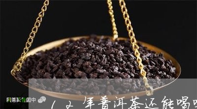 12年普洱茶还能喝吗/2023072402727