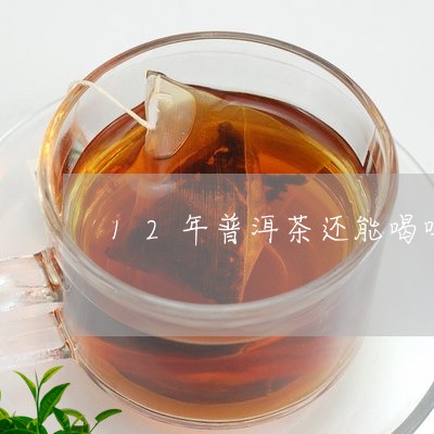 12年普洱茶还能喝吗/2023092821625