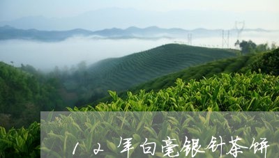 12年白毫银针茶饼/2023091460705