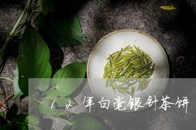 12年白毫银针茶饼/2023120692736