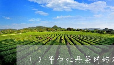 12年白牡丹茶饼的外观/2023092301403