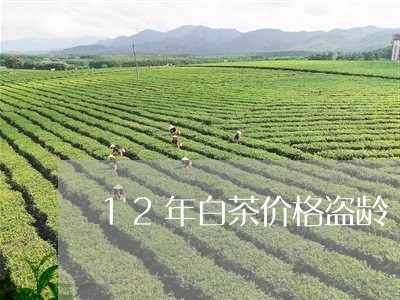 12年白茶价格盗龄/2023121559593