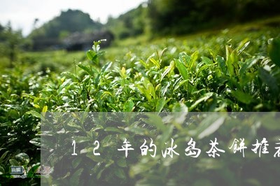 12年的冰岛茶饼推荐/2023092276279