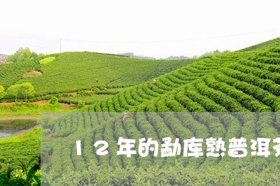 12年的勐库熟普洱茶/2023092813269