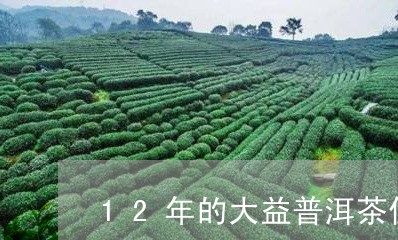 12年的大益普洱茶值多少钱/2023052765040