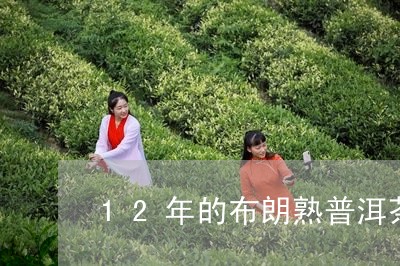 12年的布朗熟普洱茶/2023073041715