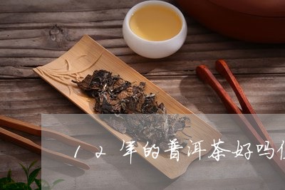 12年的普洱茶好吗值钱吗/2023082525847