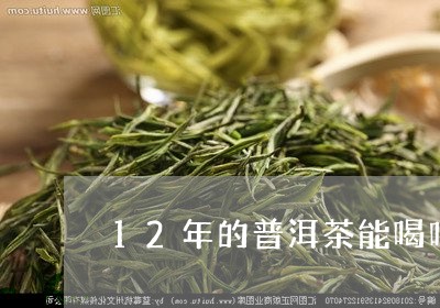 12年的普洱茶能喝吗/2023092760683