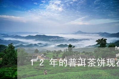 12年的普洱茶饼现在多少钱/2023082891836