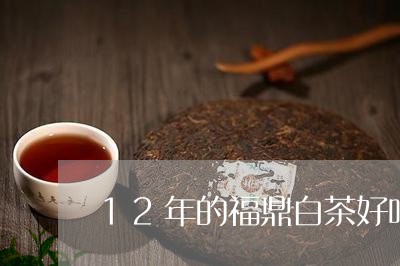 12年的福鼎白茶好吗/2023120853048