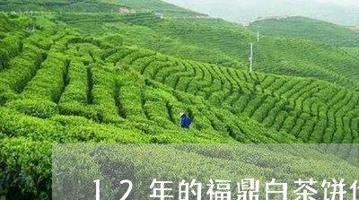 12年的福鼎白茶饼价格/2023092435060