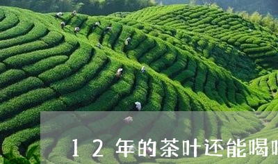 12年的茶叶还能喝吗/2023092125149