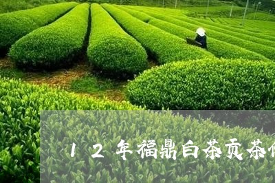 12年福鼎白茶贡茶价格/2023092112715