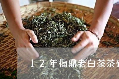 12年福鼎老白茶茶砖价格表/2023062889936