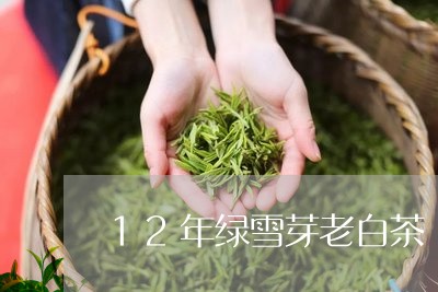 12年绿雪芽老白茶/2023073100494