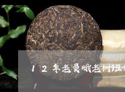 12年老曼峨老树班章/2023092252726