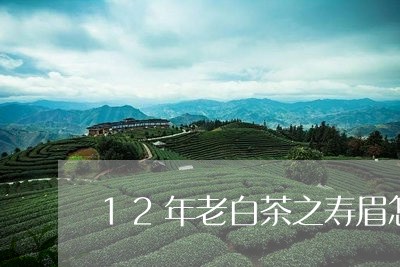 12年老白茶之寿眉怎么冲泡更好/2023111600584