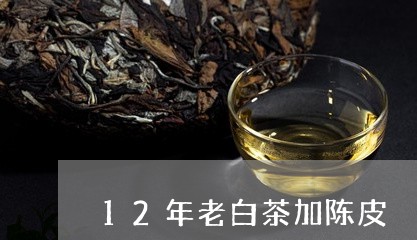 12年老白茶加陈皮/2023121517281