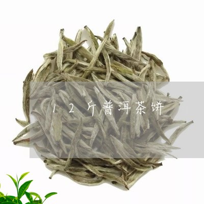 12斤普洱茶饼/2023101629493