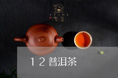 12普洱茶/2023090542895