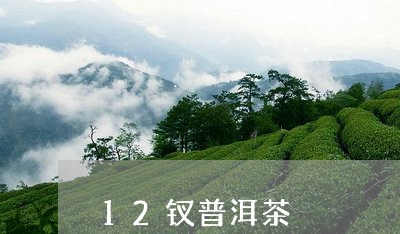 12钗普洱茶/2023042701056