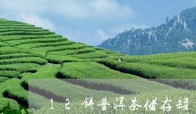 12饼普洱茶储存罐/2023112725160