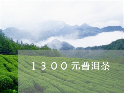 1300元普洱茶/2023120475157