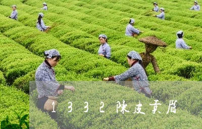 1332陈皮贡眉/2023090751604