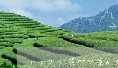 1392茶叶中茶6515沱茶/2023053150474