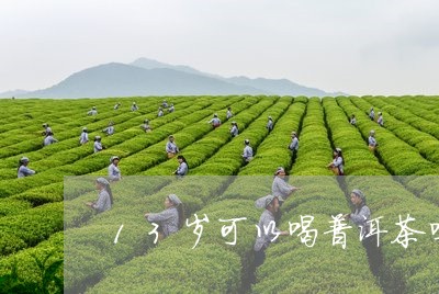 13岁可以喝普洱茶吗/2023093021603