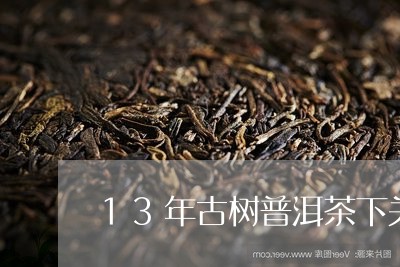 13年古树普洱茶下关/2023073128594