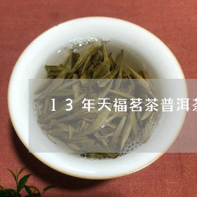 13年天福茗茶普洱茶/2023092875059