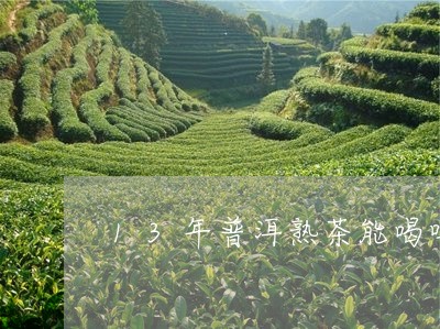 13年普洱熟茶能喝吗/2023092434048