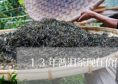 13年普洱茶现在价值/2023100824961