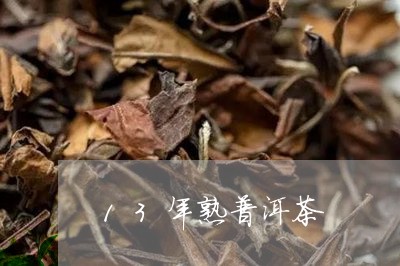 13年熟普洱茶/2023102632705