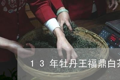 13年牡丹王福鼎白茶/2023091683815