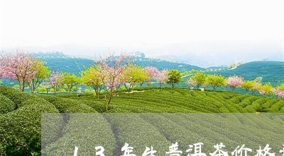 13年生普洱茶价格表/2023072258370