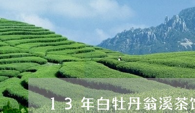 13年白牡丹翁溪茶饼/2023120900384