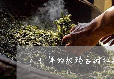 13年的拔玛古树红茶多少钱/2023052617169