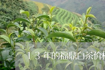 13年的福鼎白茶价格区别/2023062795948