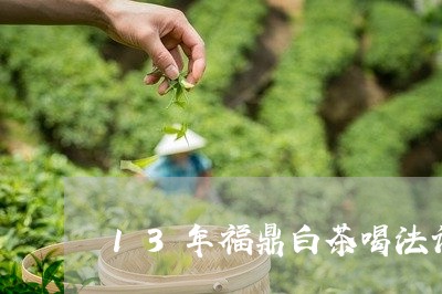 13年福鼎白茶喝法讲解/2023092215047