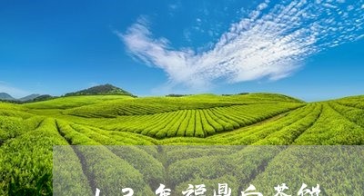 13年福鼎白茶饼/2023112596157