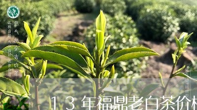 13年福鼎老白茶价格/2023092019472